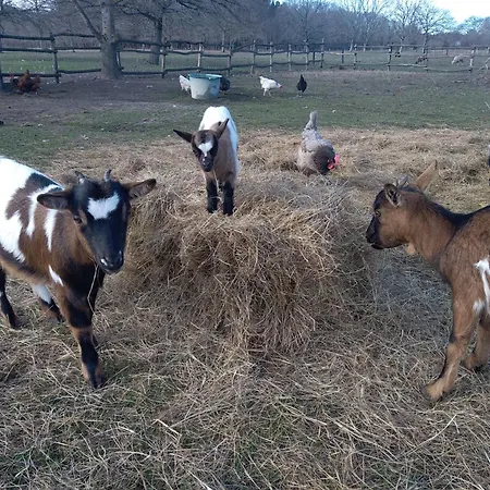 Eco Nature, à La Ferme Appartamento