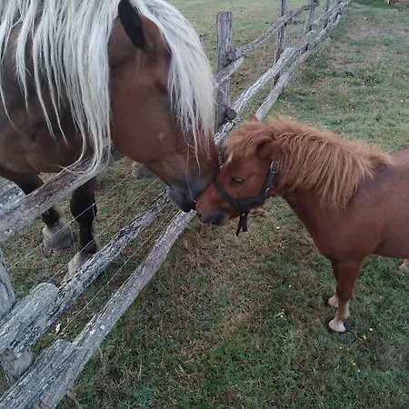 Eco Nature, à La Ferme *