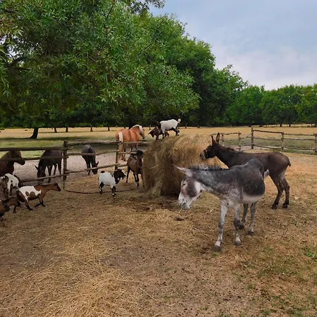 Eco Nature, à La Ferme Appartamento