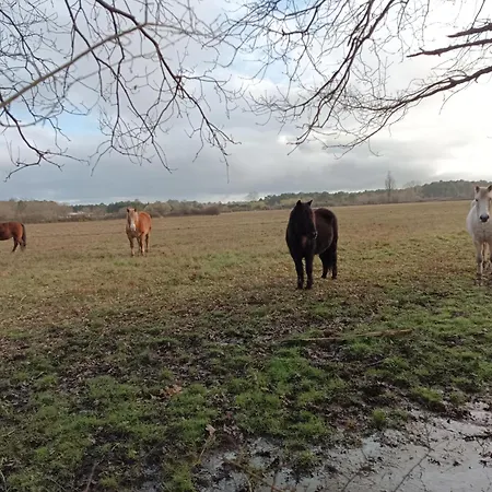 Eco Nature, à La Ferme Appartamento *